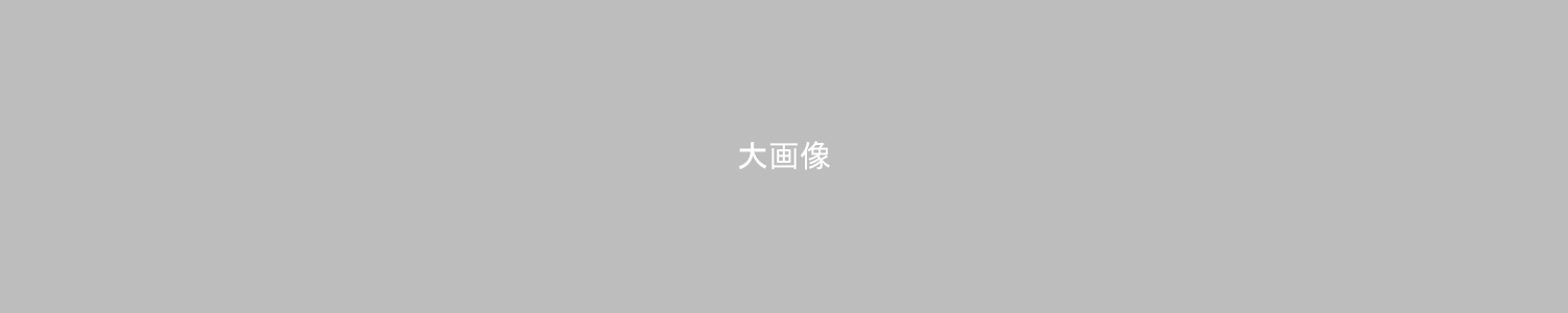 2024年 大府市プレミアム付商品券 おぶちゃん商品券使える店一覧|活用マニュアル|おおぶ元気商品券事業|令和5年度